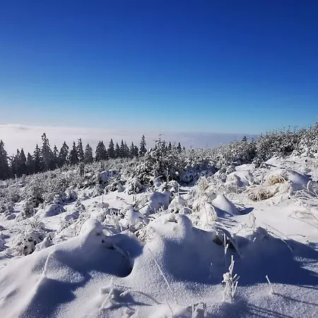 Luna - Przestronny Nr 7 Z Widokiem - Gory Sowie - Jezioro Bielawa (Dzierzoniow)