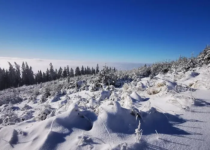 Przestronny Nr 7 Z Widokiem Na Gory Sowie Bielawa (Dzierzoniow)