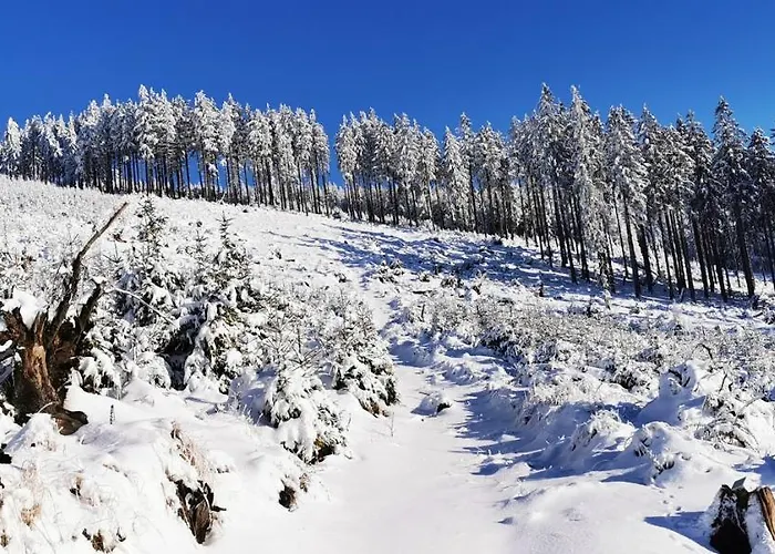 Apartment Przestronny Nr 7 Z Widokiem Na Gory Sowie